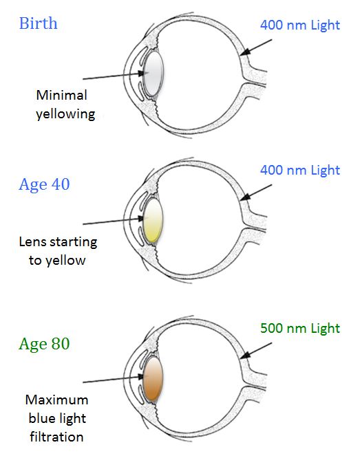 Natural Blue Light Filtration